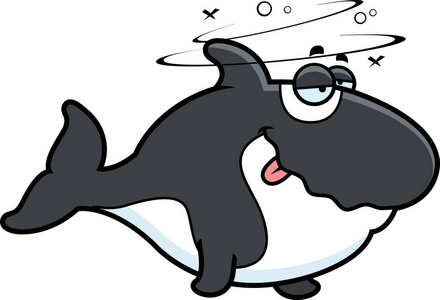 卡通醉的虎鲸照片