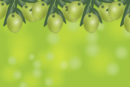 保健品banner绿色橄榄横幅.设计橄榄油, 包装, 化妆品, 保健品.