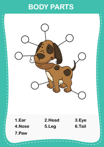 插图的狗词汇身体的一部分，写正确 nu