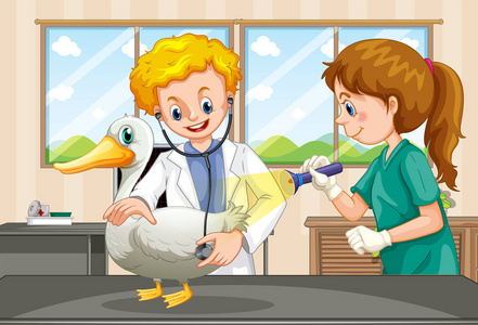 兽医图片图片