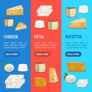 逼真的详细3d 奶酪横幅 Vecrtical 设置。向量