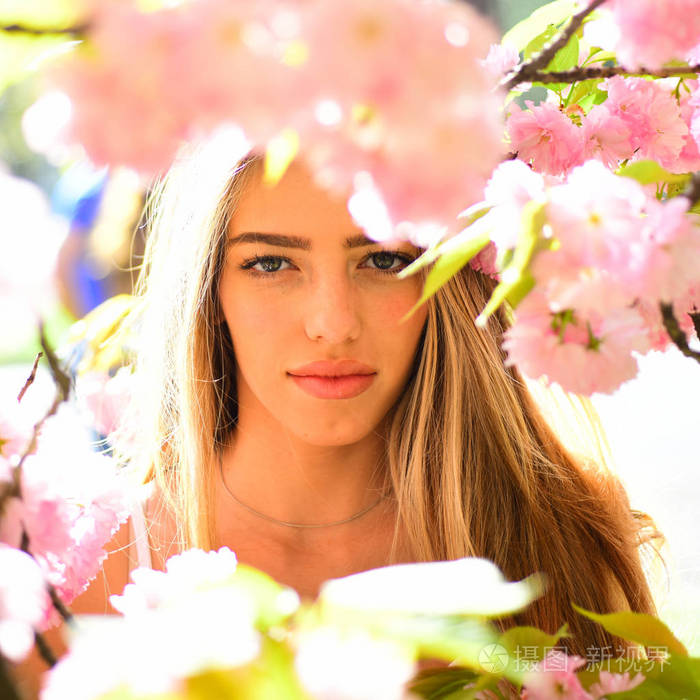 粉红色的花瓣包围的金发女郎的肖像.女孩躲在盛开的日本樱桃树枝上.