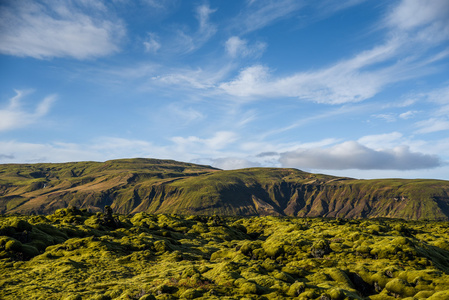 青苔盖上冰岛的火山地质景观
