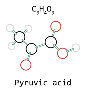 分子丙酮酸 C3h4o3
