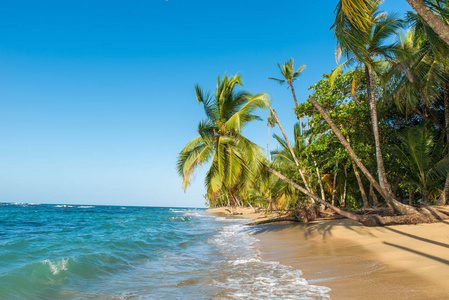 蓬 Uva 海滩在哥斯达黎加与狂放的加勒比海岸