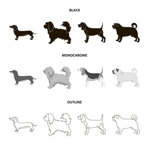 Pikinise, 腊肠, 帕格, 佩吉。狗品种集合图标黑色, 单色, 轮廓样式矢量符号股票插画网站