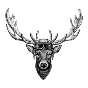 戴眼镜的动物佩戴飞行员头盔。矢量图片。鹿手画的纹身插图, 徽章, 徽章, 标志, 补丁, t恤衫