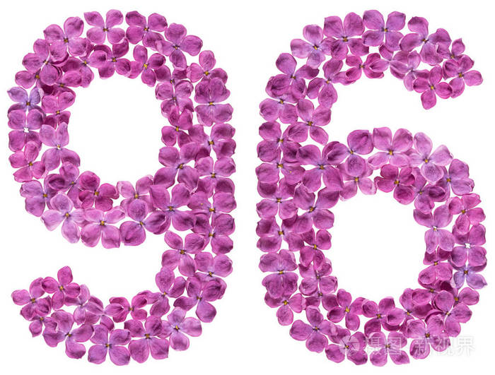 阿拉伯文数字96九十六从丁香花被隔绝在白色背景上