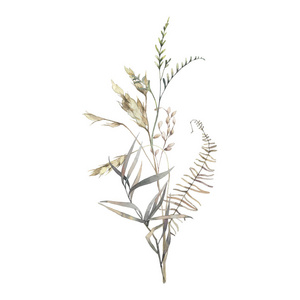 手绘干花图片-手绘干花素材-手绘干花插画-摄图新视界