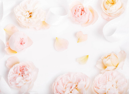 柔和风格的甜色织物玫瑰背景