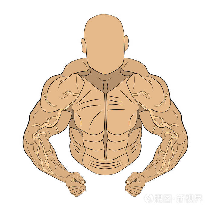 充气人体肌肉人矢量图画插图