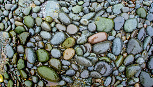 潮湿的石头在沙滩上
