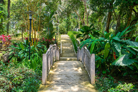 裴丹娜植物园小桥观在吉隆坡, 马来西亚