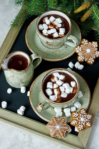 一杯带棉花糖的热巧克力。圣诞节时间作文