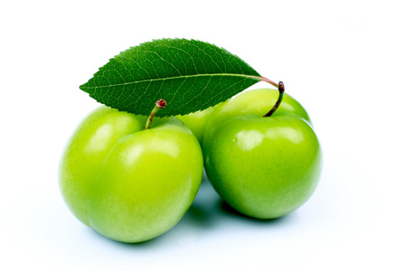 新鲜绿色梅子照片