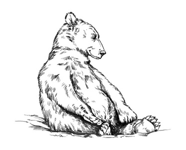 白色和黑色的熊图片-白色和黑色的熊素材-白色和黑色的熊插画-摄图新