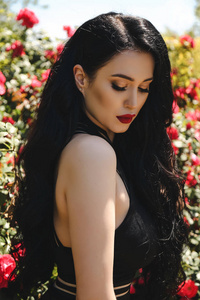 时尚的户外照片美丽的女人与深色的头发在华丽的黑色礼服摆在开花花园与玫瑰灌木