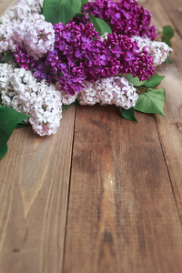 棕木背景的紫色丁香花花束