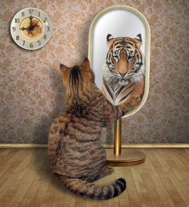 猫在镜子里看着。它看到一只老虎在那里的倒影
