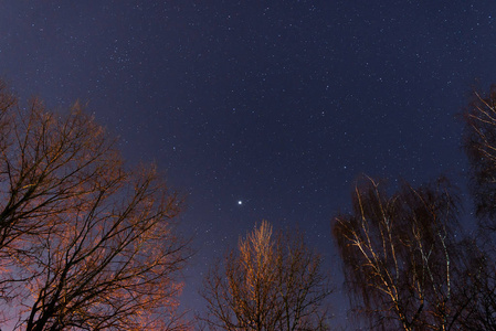 美丽的夜空，银河系与树木