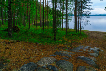 景观的湖泊和森林，Punkaharju 山脊