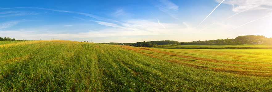 全景夏天风景