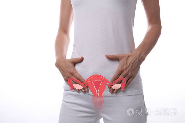 妇科女性健康和解剖学的概念妇女的身体与子宫illustartion隔离在白色