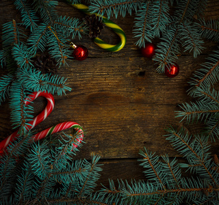 冷杉的树枝 锥 圣诞装饰圣诞边框