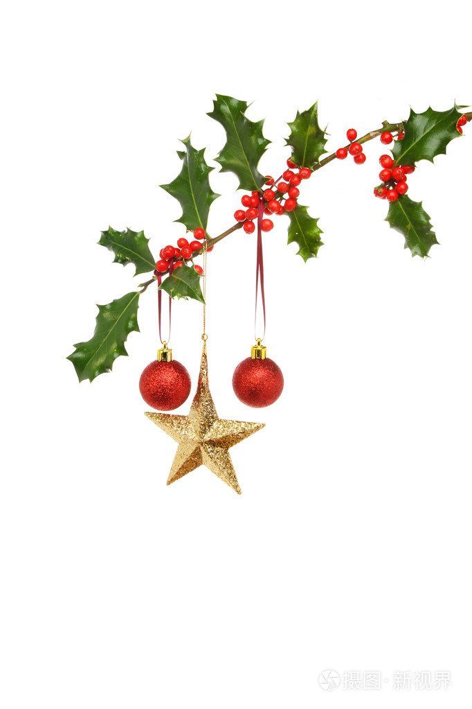 圣诞装饰品在冬青树