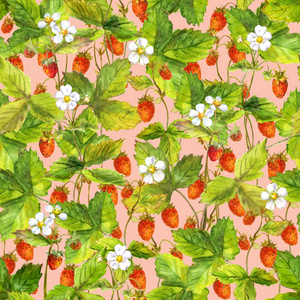 无缝模板与布什的野生森林草莓浆果。水彩画画插图
