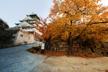 在大阪，日本大阪城堡和桔子树