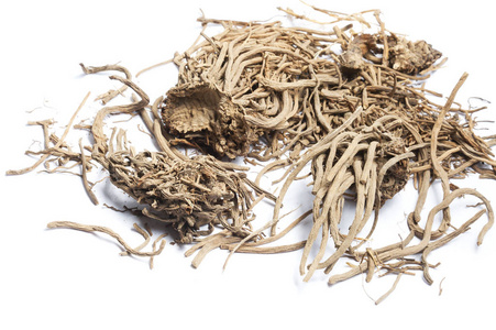 在白色上分离的缬草根照片