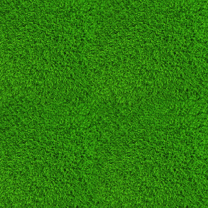 绿色草坪背景图片