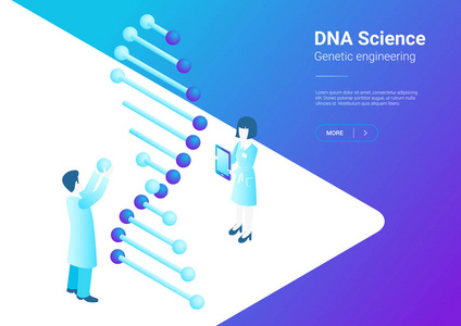 在实验室中使用显微镜试管 Dna 的等距平板科学家