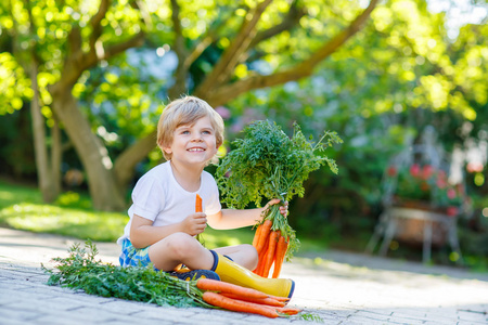 三岁的小男孩在家庭园里用胡萝卜