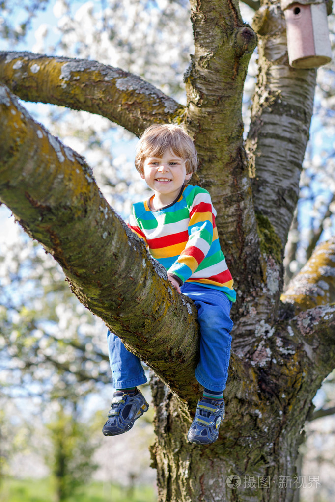 学龄前儿童男孩享受爬树