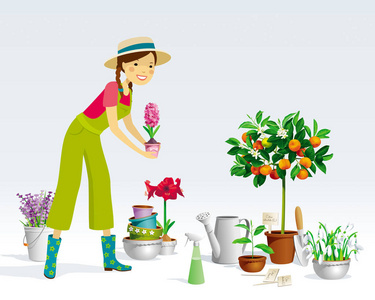 的白色背景在盆栽植物形状的茎是塑造工匠创造美丽的艺术在自然仙人掌