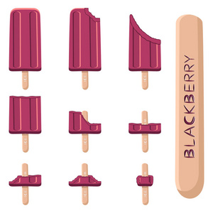 矢量插图标志为天然黑莓冰淇淋在棍子上。冰淇淋模式包括甜冷冰淇淋, 设置可口的冷冻甜点。新鲜浆果各式各样红色黑莓在棍子上