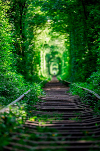 春天森林中的铁路隧道, 风景如画的爱情隧道