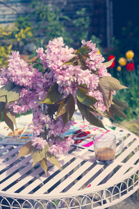 美丽浪漫的场面在家庭花园与日本樱桃树花瓶在白色桌上绽放