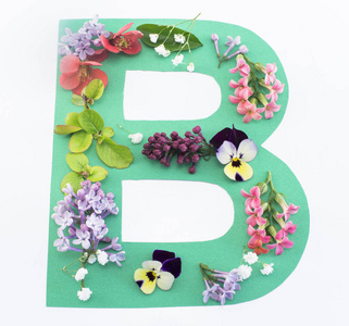 字母 B 的春天的花朵和纸