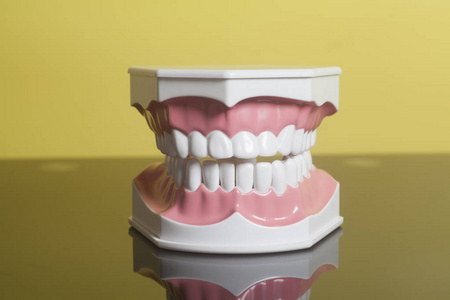 牙模型图片-牙模型素材-牙模型插画-摄图新视界