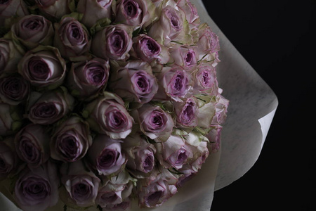 一束紫色的玫瑰。特写