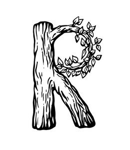 木材雕刻字体黑色雕刻字母 r 由木材与树叶在白色背景照片