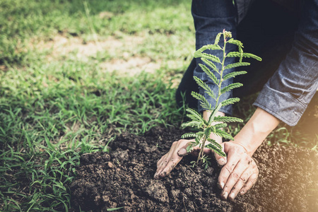 年轻人在花园里植树作为地球日, 拯救世界概念自然环境和生态