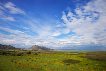 美丽的风景，在黑山斯卡达尔湖国家公园