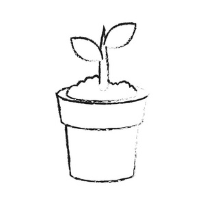 植物在锅图标图像
