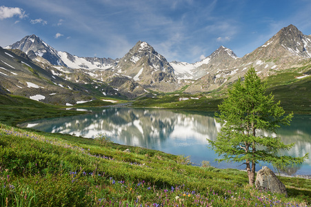 美丽的夏日风景，阿尔泰山俄罗斯