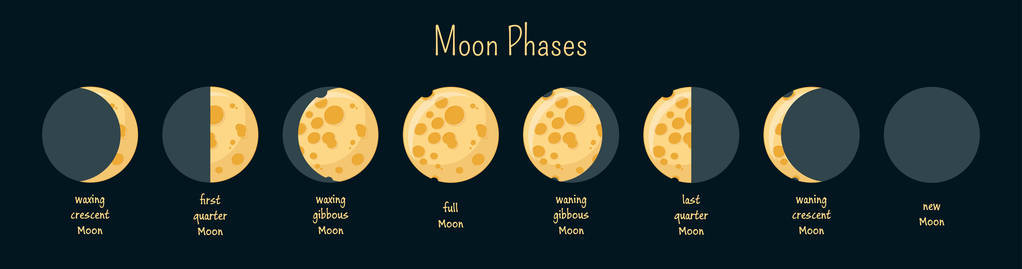 月亮阶段图表