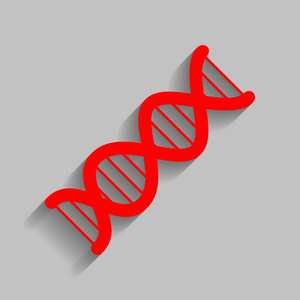 Dna 的标志。矢量。与软阴影在灰色的背景上的红色图标